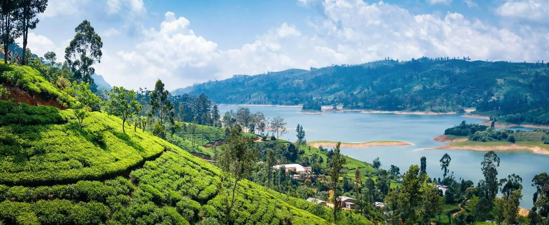 Uga Halloowella Nuwara Eliya Sri Lanka